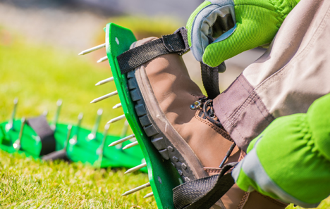 How to aerate your lawn?
